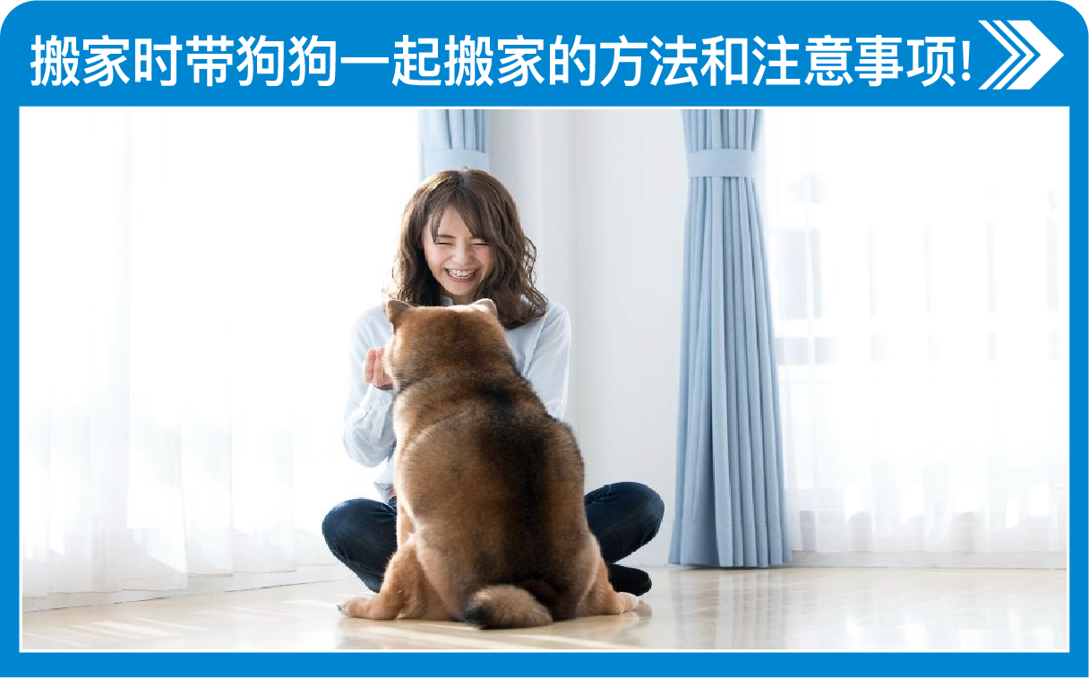 搬家时带狗狗一起搬家的方法和注意事项！